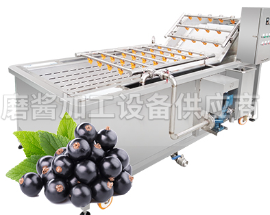 <b>醋栗清洗机</b>