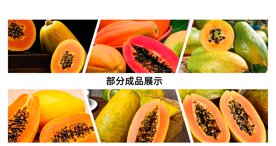 木瓜.jpg