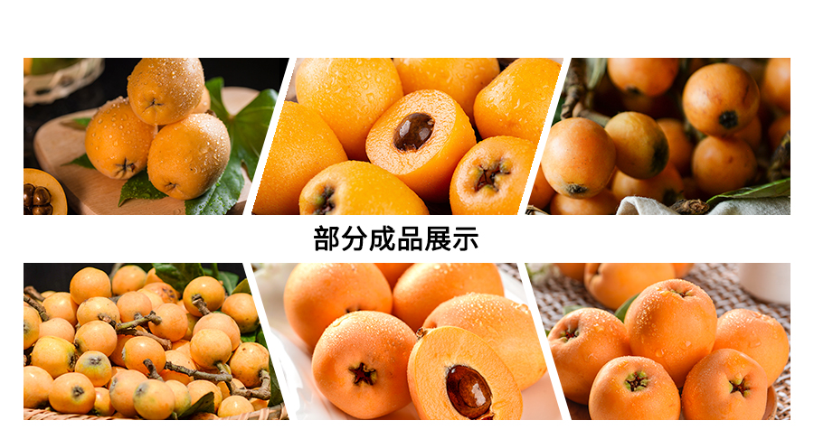 枇杷.jpg